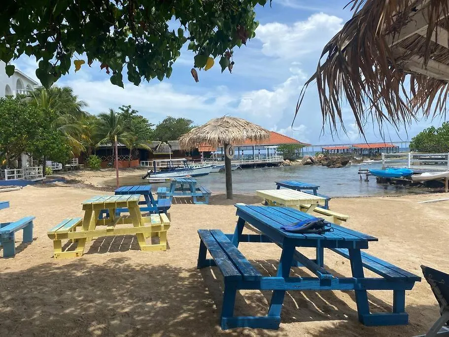 Lush Tropical Apartment Located In A 4-Star Resort 런어웨이베이 자메이카